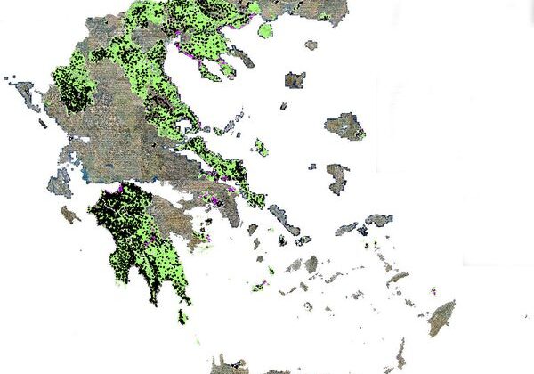A ναρτήθηκαν οι Δασικοί Χάρτες του Δήμου Νικολάου Σκουφά