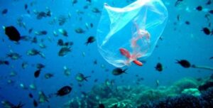 Συμμαχία Γενεών για την πρόληψη της χρήσης πλαστικών και την αντικατάσταση της χρήσης των πλαστικών μιας χρήσης