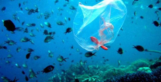 Συμμαχία Γενεών για την πρόληψη της χρήσης πλαστικών και την αντικατάσταση της χρήσης των πλαστικών μιας χρήσης